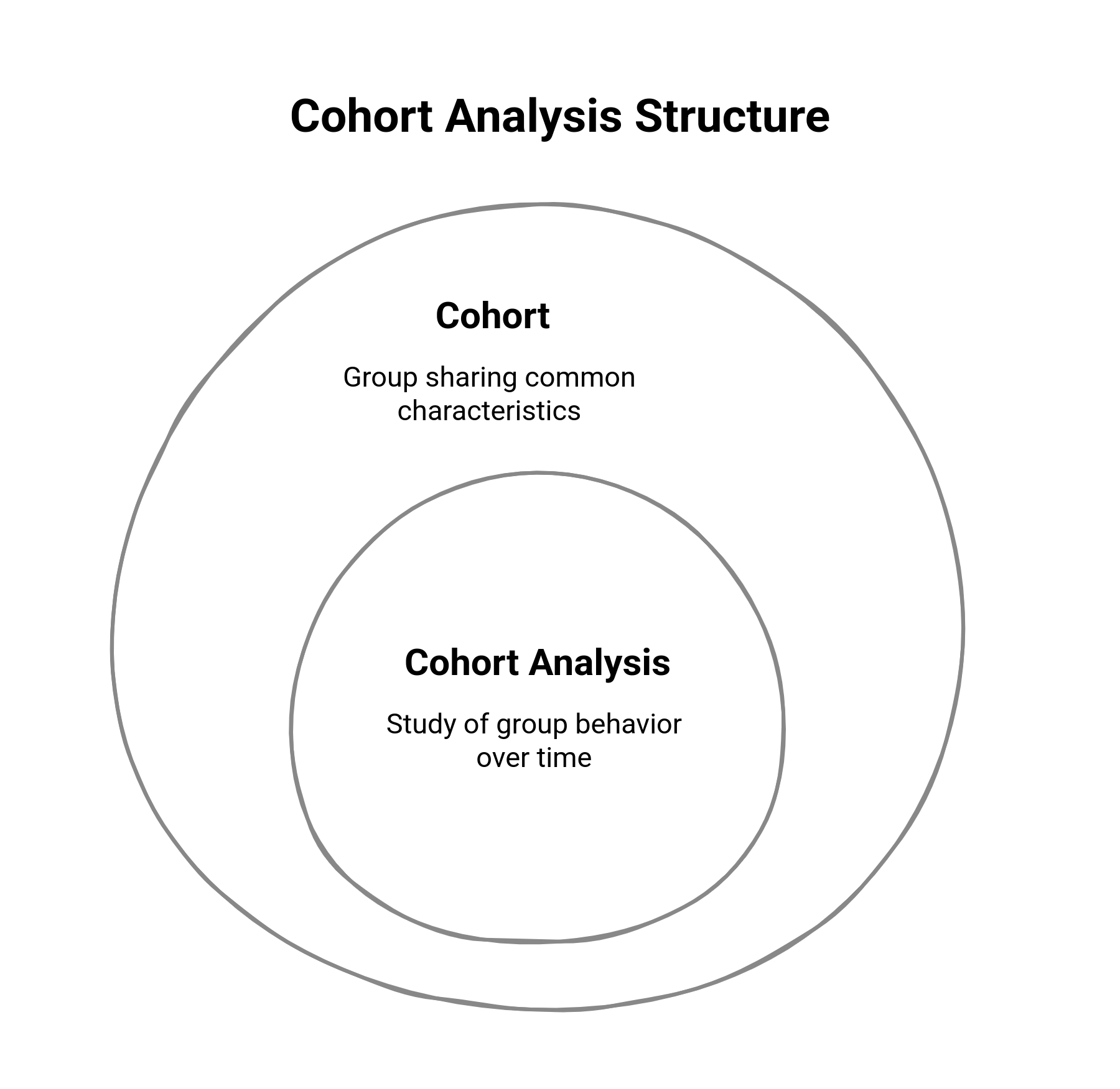 Graphic showing the cohort analysis structure