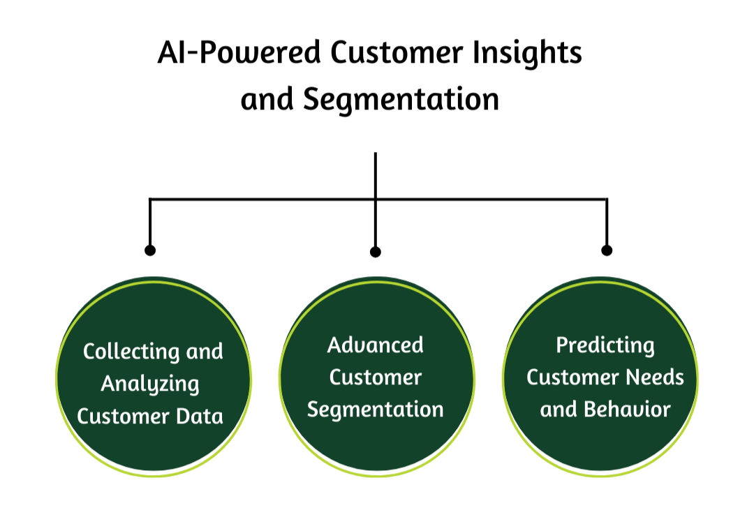 A three point flowchart on AI Powered customer insights and segmentation