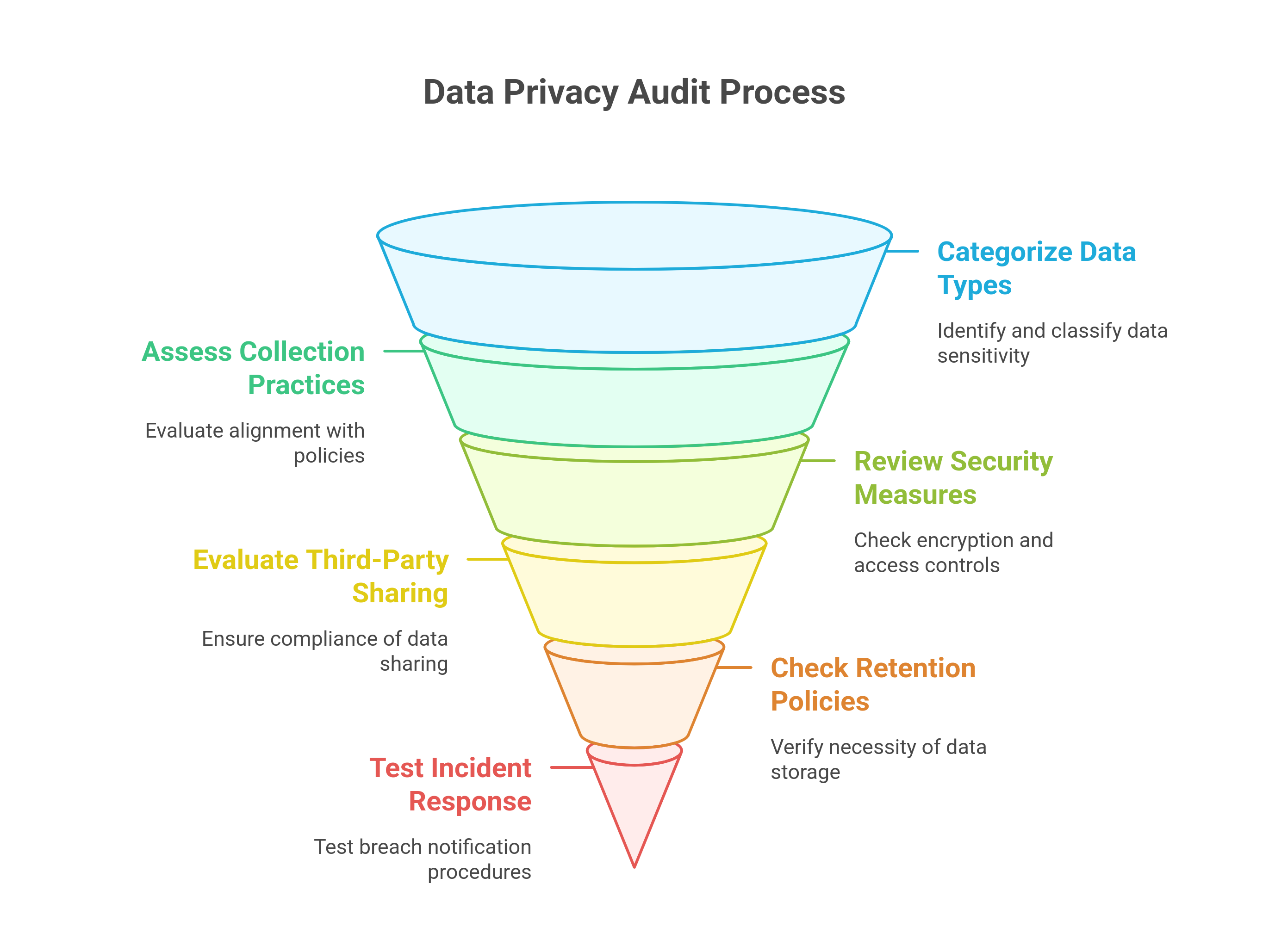 graphic showing the data audit process