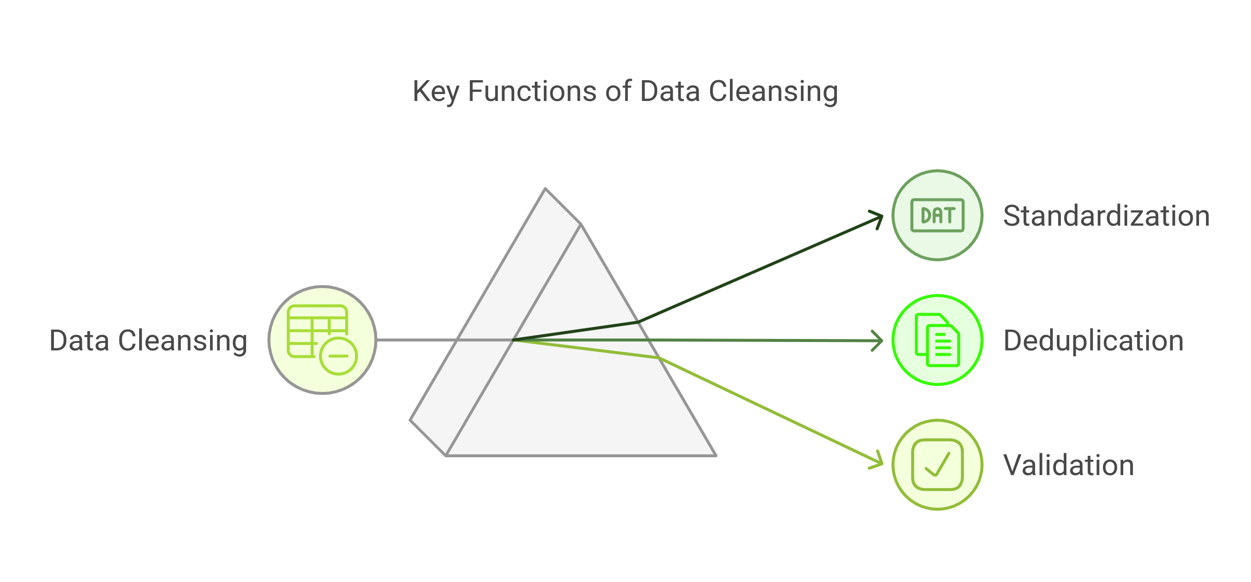 diagram showing the key functions of data cleansing
